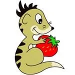 Strawberry Meerkat Boutique discount code